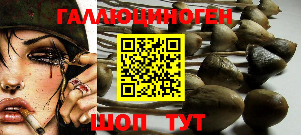 Псилоцибиновые грибы MAGIC MUSHROOMS  Галлюциногенные грибы мухоморы  Белебей  Вход с VPN 